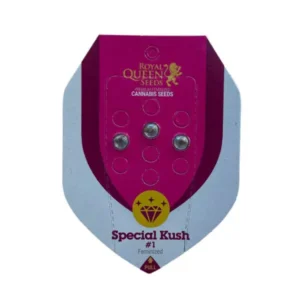 Royal Queen Seeds Cannabis Samen Full Season