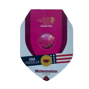 Alternative view of Royal Queen Seeds Cannabis Samen Full Season